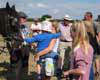 Shire horses